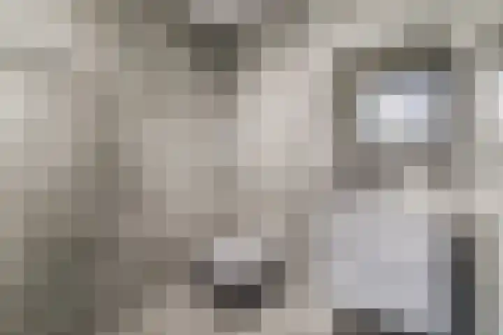 Tamboerijnlaan 16 Dongen thumbnail 63