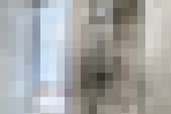 Tamboerijnlaan 16 Dongen thumbnail 64
