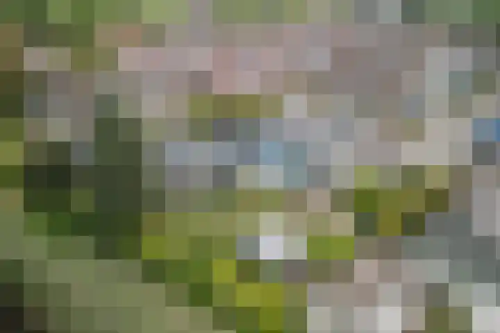 Tamboerijnlaan 16 Dongen thumbnail 66