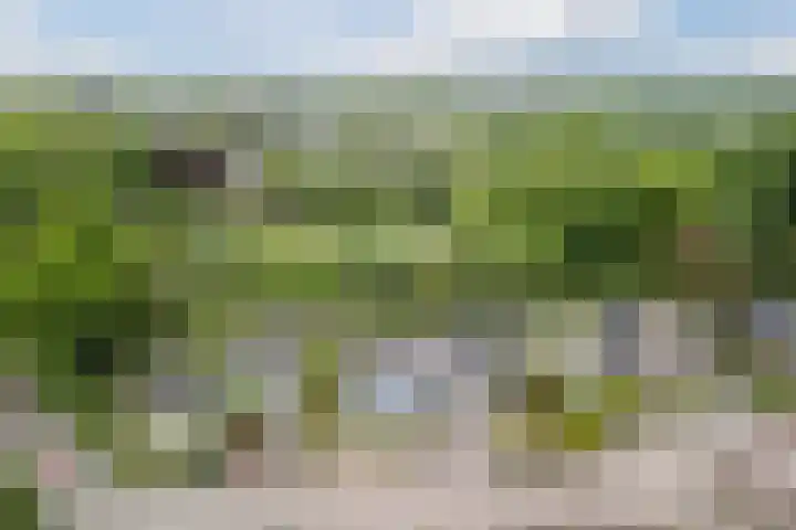 Tamboerijnlaan 16 Dongen thumbnail 7