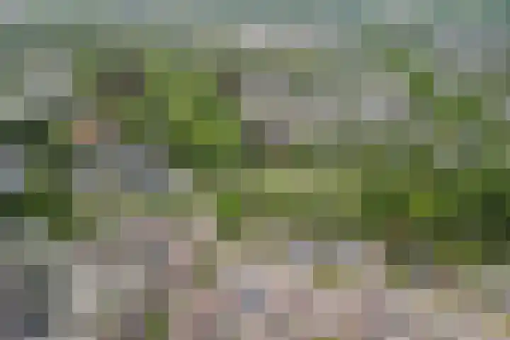 Tamboerijnlaan 16 Dongen thumbnail 9