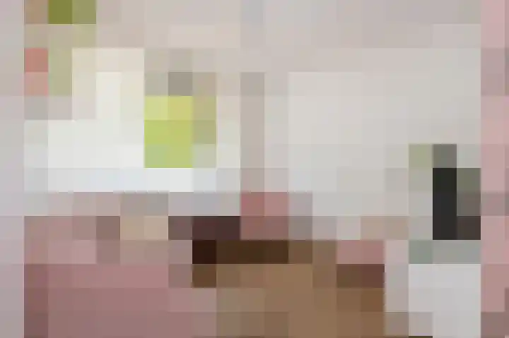 Tamboerijnstraat 19 Maastricht thumbnail 8
