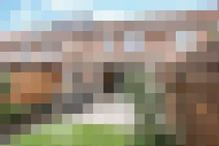 Tamboerijnstraat 20 Uden thumbnail 21