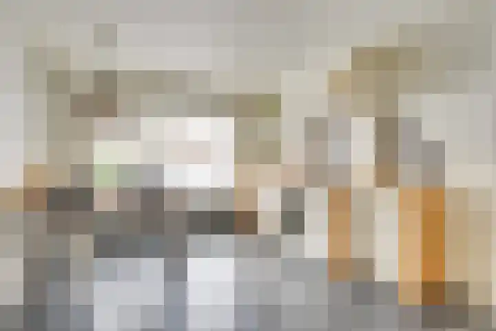 Tamboerijnstraat 20 Uden thumbnail 4