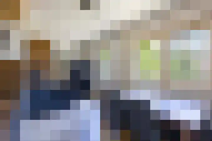 Tamboerijnstraat 21 Venray thumbnail 17