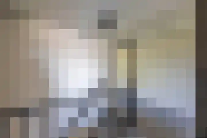 Tamboerijnstraat 21 Venray thumbnail 22