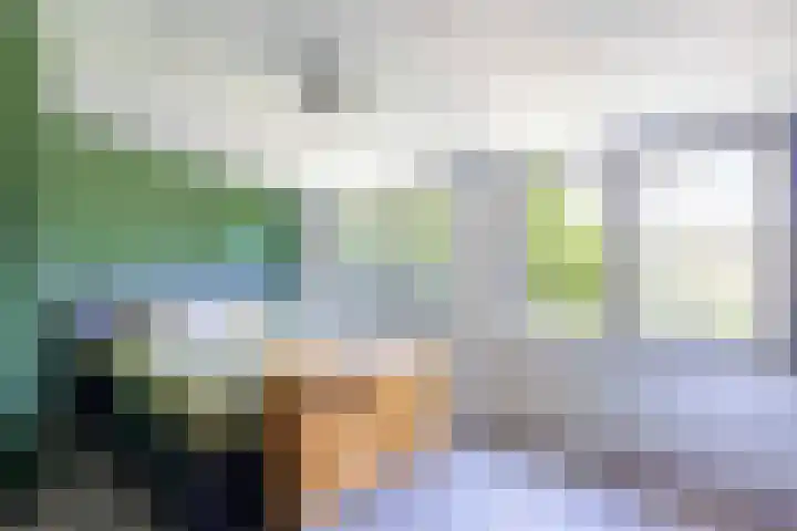 Tamboerijnstraat 21 Venray thumbnail 24