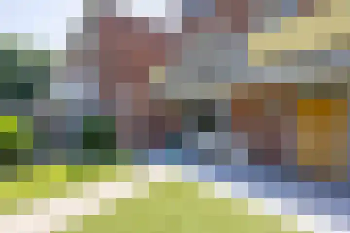 Tamboerijnstraat 21 Venray thumbnail 33