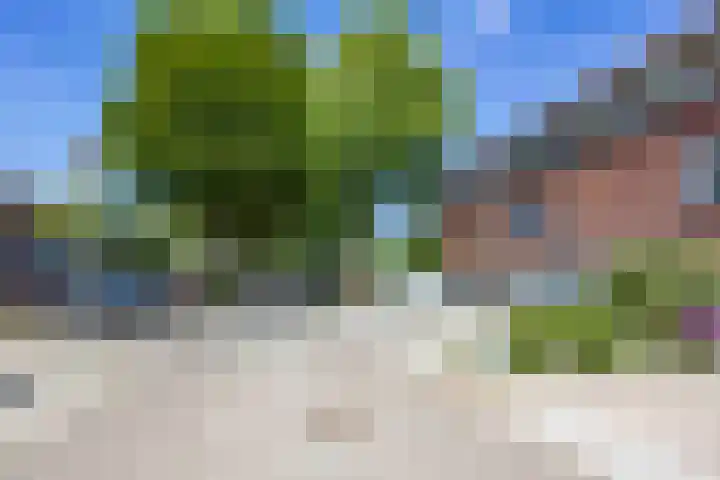 Tamboerijnstraat 21 Venray thumbnail 34
