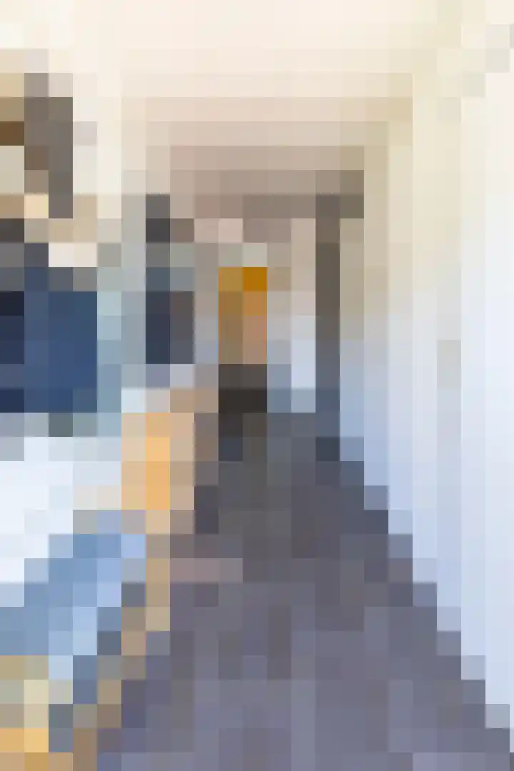 Tamboerijnstraat 21 Venray thumbnail 8