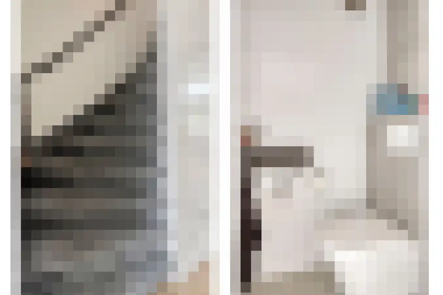 Tamboerijnstraat 22 Uden thumbnail 15