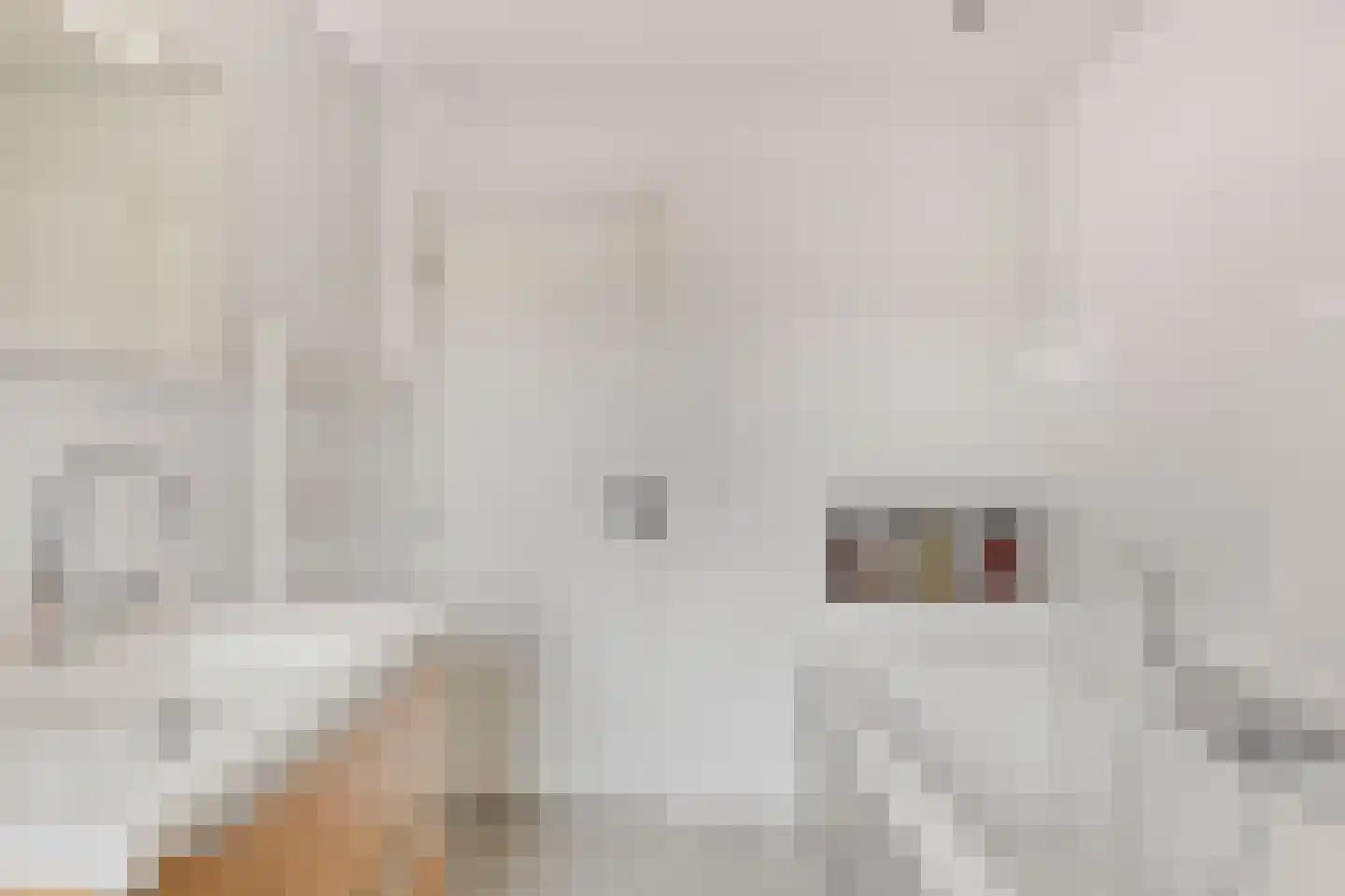 Tamboerijnstraat 22 Uden thumbnail 21