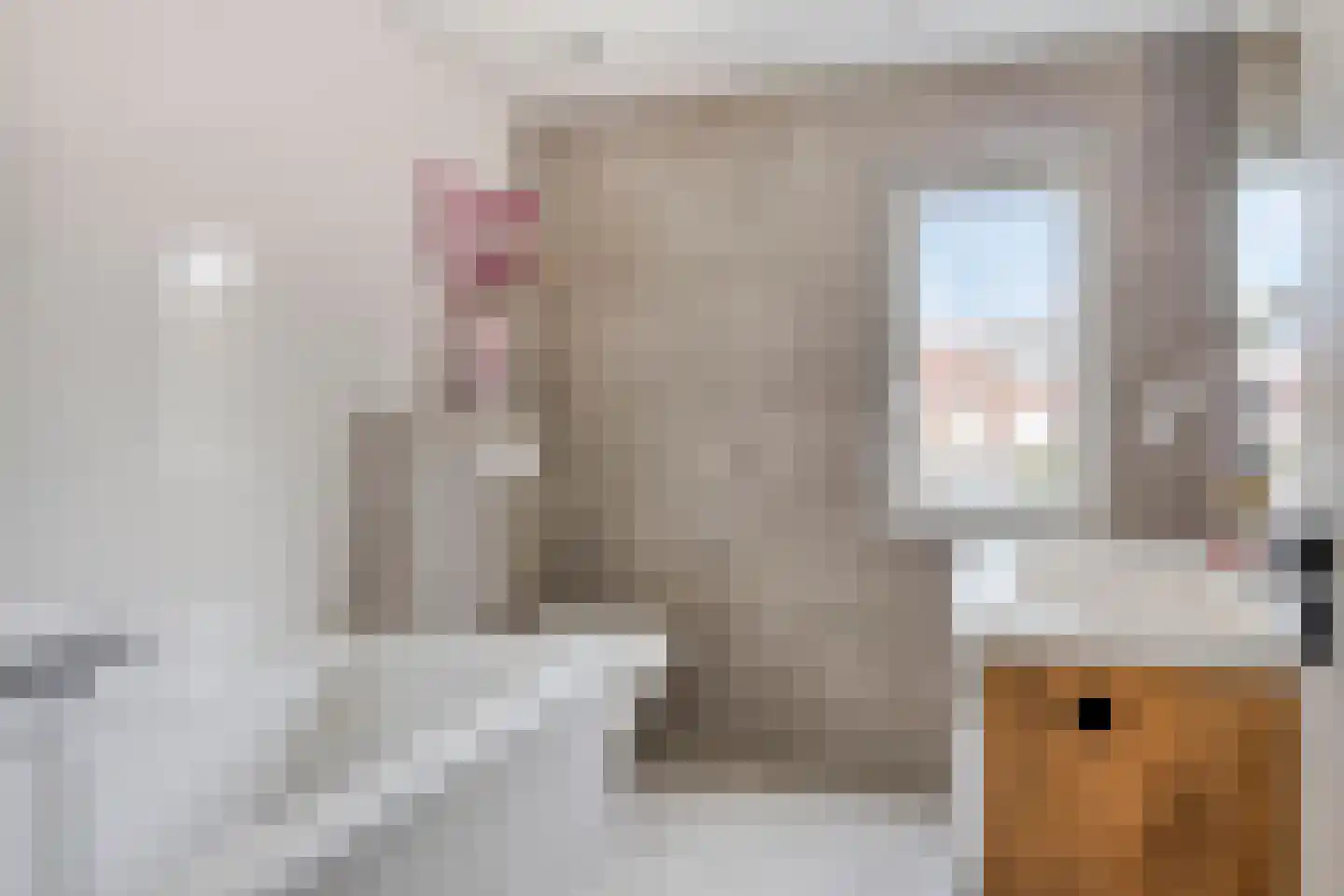 Tamboerijnstraat 22 Uden thumbnail 22