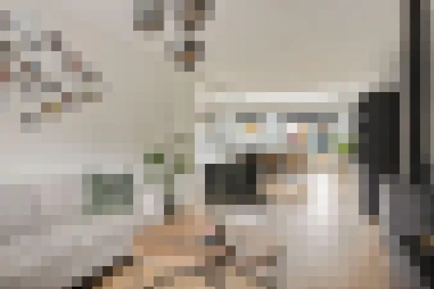 Tamboerijnstraat 22 Uden thumbnail 7
