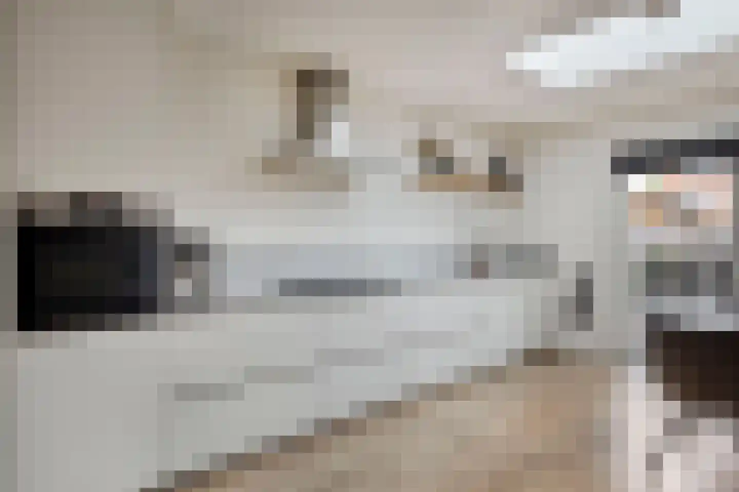 Tamboerijnstraat 22 Uden thumbnail 9