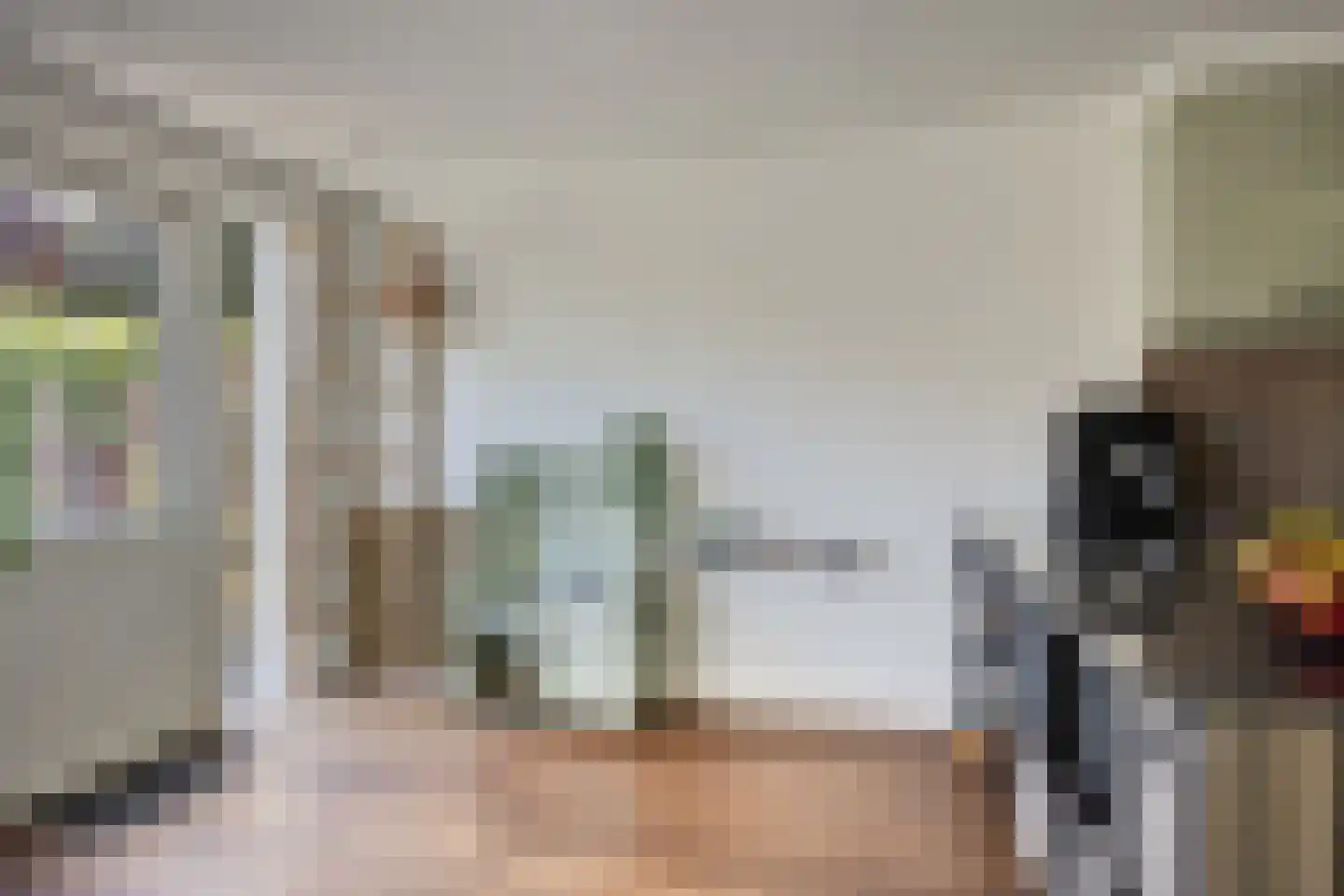 Tamboerijnstraat 24 Uden thumbnail 5