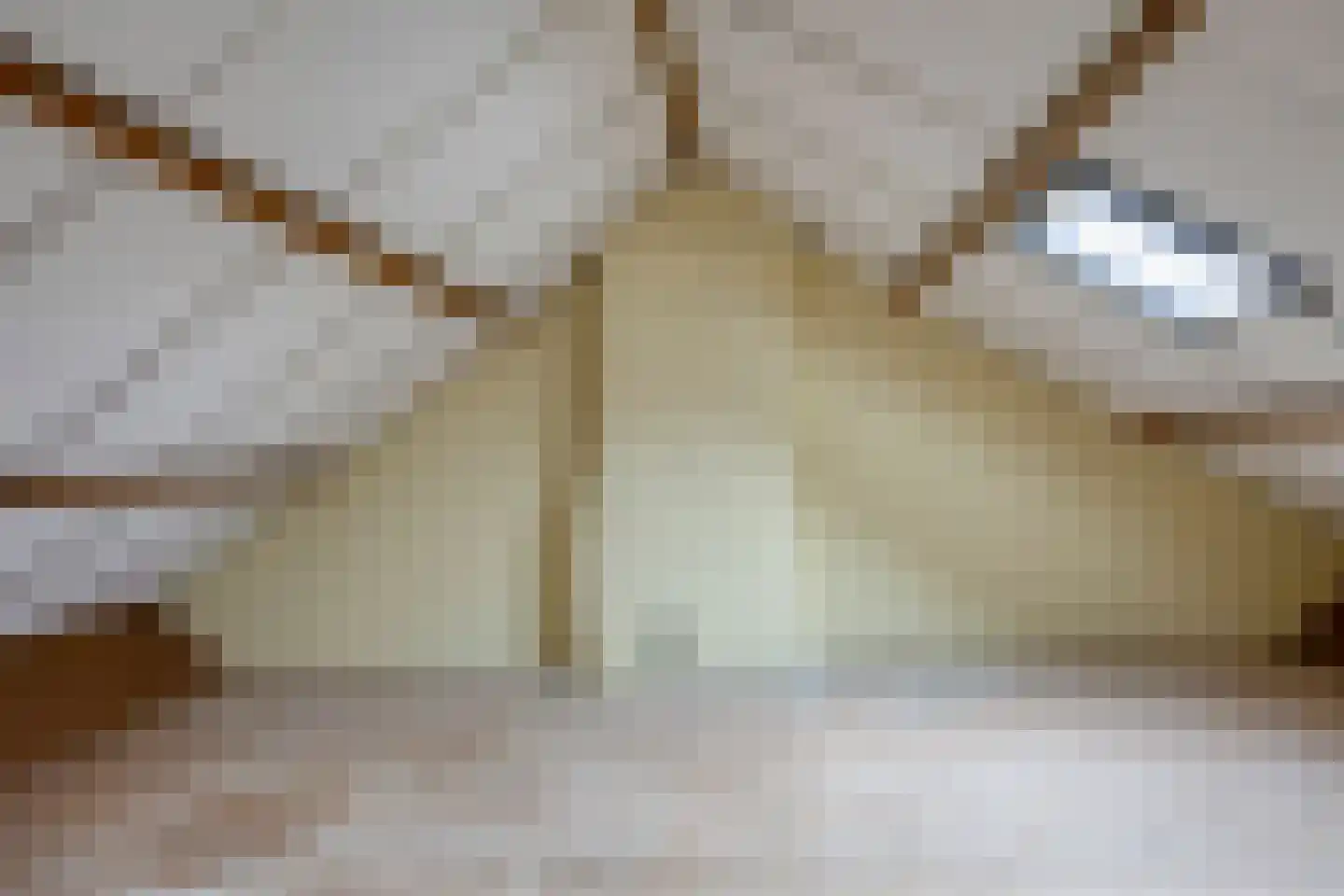 Tamboerijnstraat 29 Uden thumbnail 17