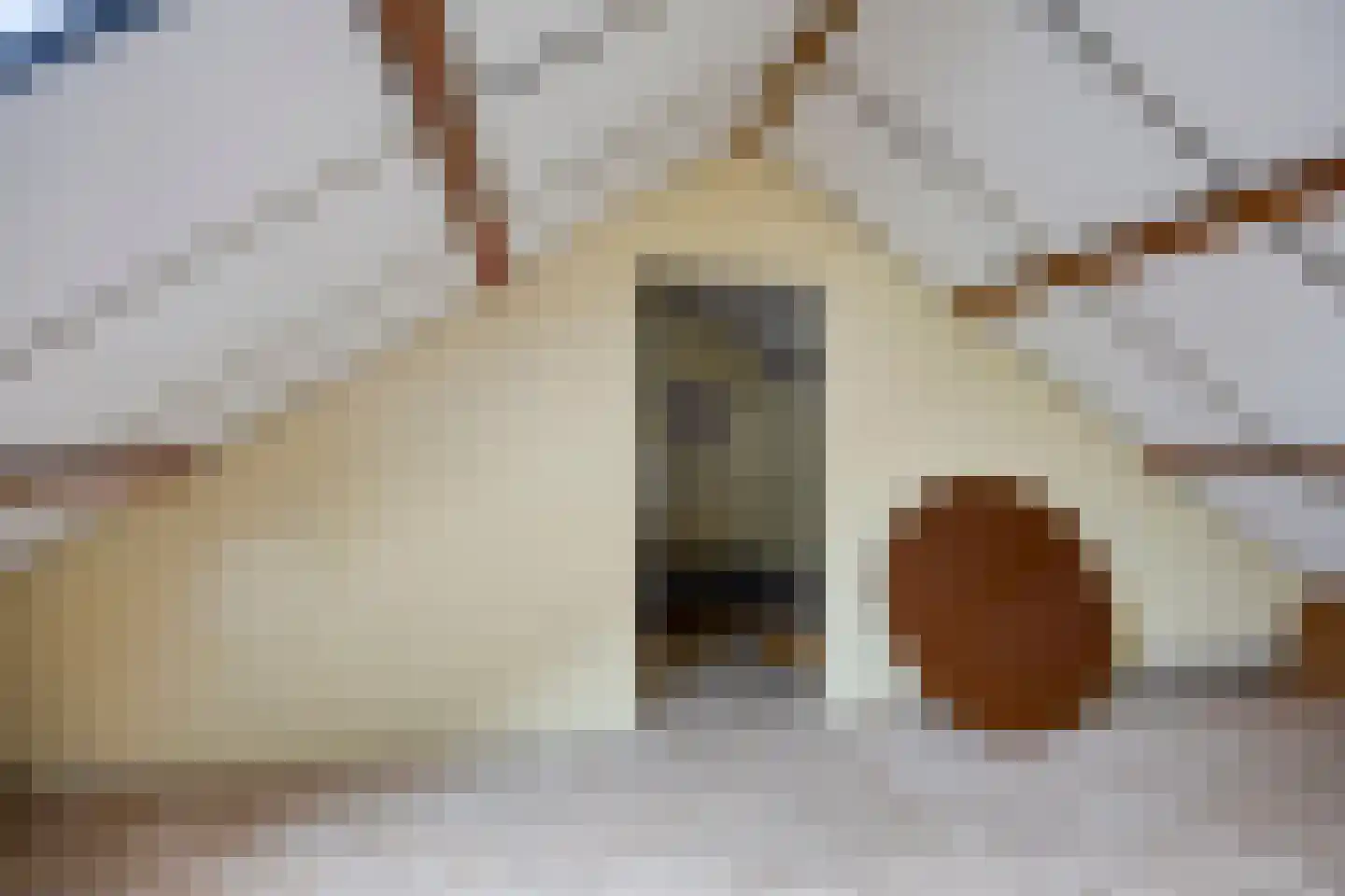 Tamboerijnstraat 29 Uden thumbnail 18