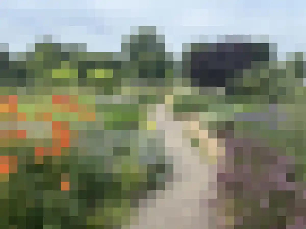 Tamboerijnstraat 73 Maastricht thumbnail 6