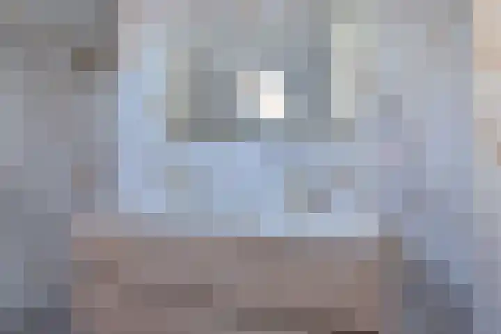 Tamboerlaan 101 Hoogeveen thumbnail 39