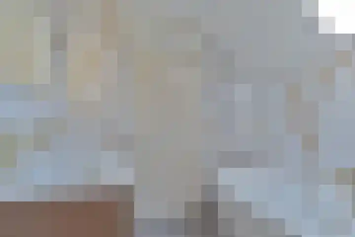 Tamboerlaan 101 Hoogeveen thumbnail 43