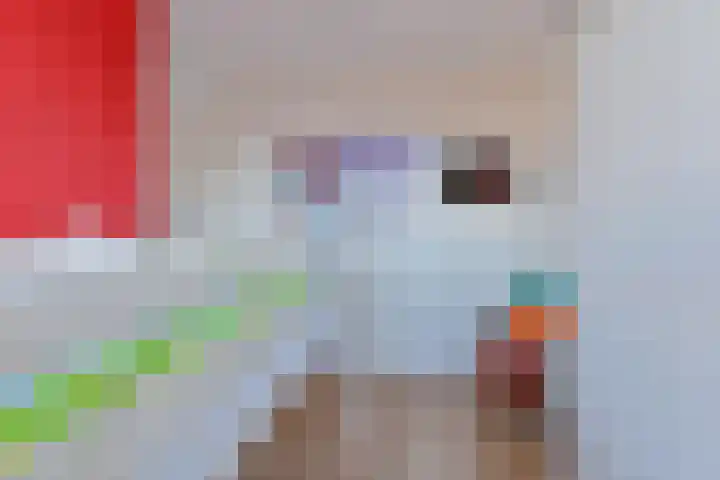 Tamboerlaan 101 Hoogeveen thumbnail 54