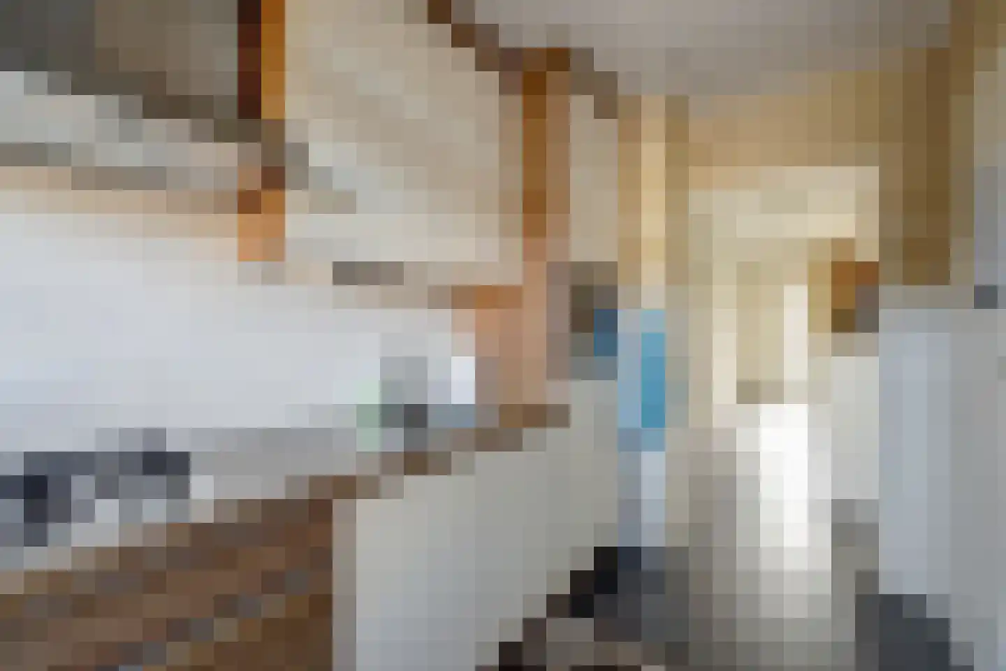 Tamboerlaan 243 Hoogeveen thumbnail 20