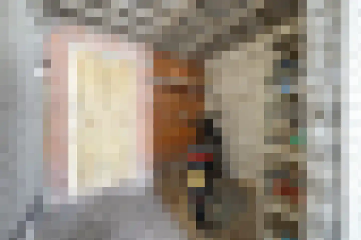 Tamboerlaan 243 Hoogeveen thumbnail 37