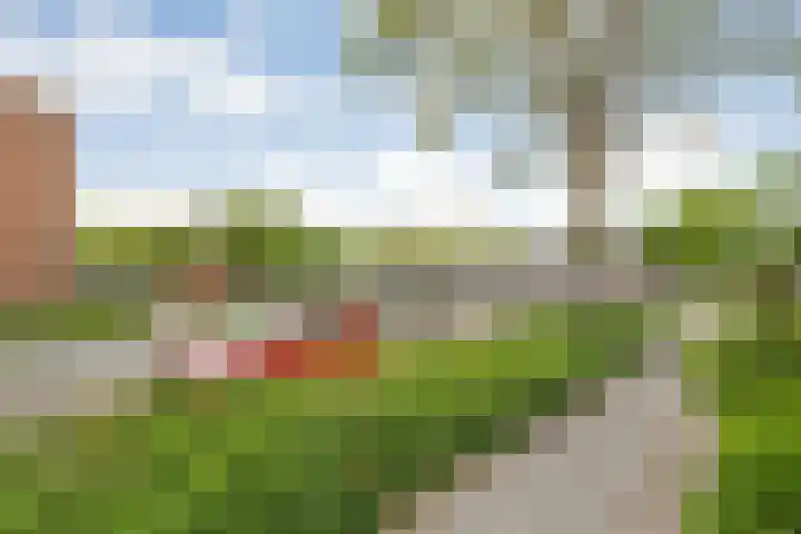 Tamboerlaan 269 Hoogeveen thumbnail 23