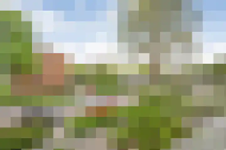 Tamboerlaan 269 Hoogeveen thumbnail 4