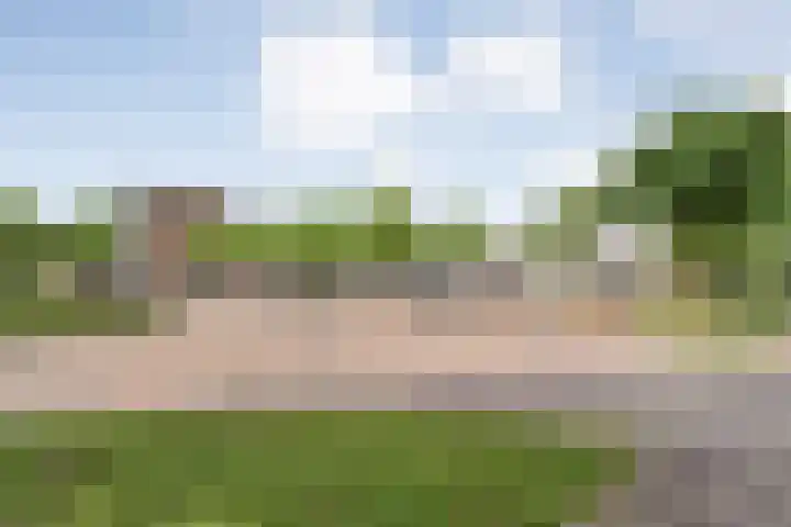 Tamboerlaan 273 Hoogeveen thumbnail 32