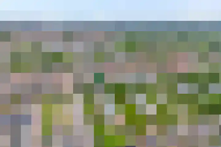 Tamboerlaan 273 Hoogeveen thumbnail 33