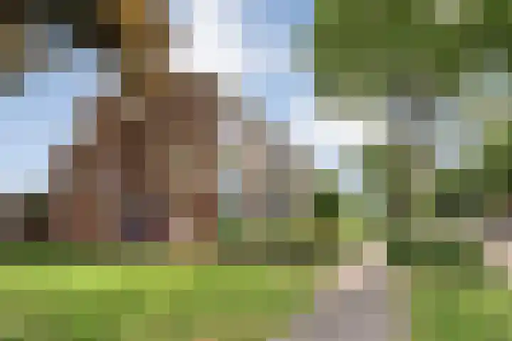 Tamboerlaan 273 Hoogeveen thumbnail 5