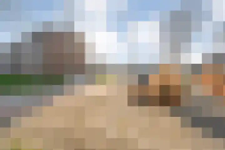 Tamboerlaan 279 Hoogeveen thumbnail 28