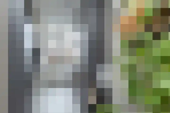 Tamboerlaan 289 Hoogeveen thumbnail 16