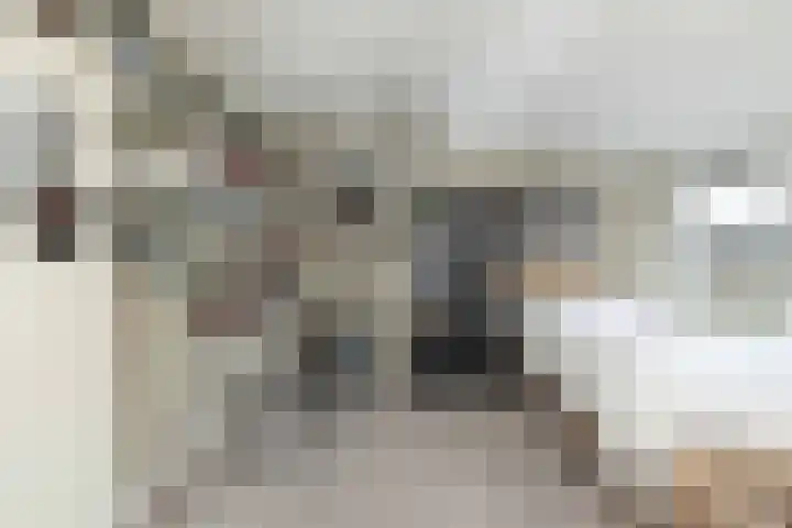 Tamboerlaan 289 Hoogeveen thumbnail 22