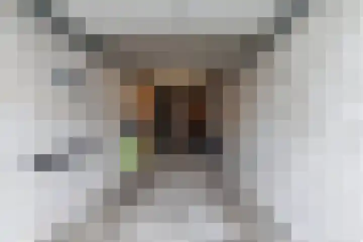 Tamboerlaan 289 Hoogeveen thumbnail 41