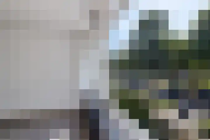 Tamboerlaan 291 Hoogeveen thumbnail 17
