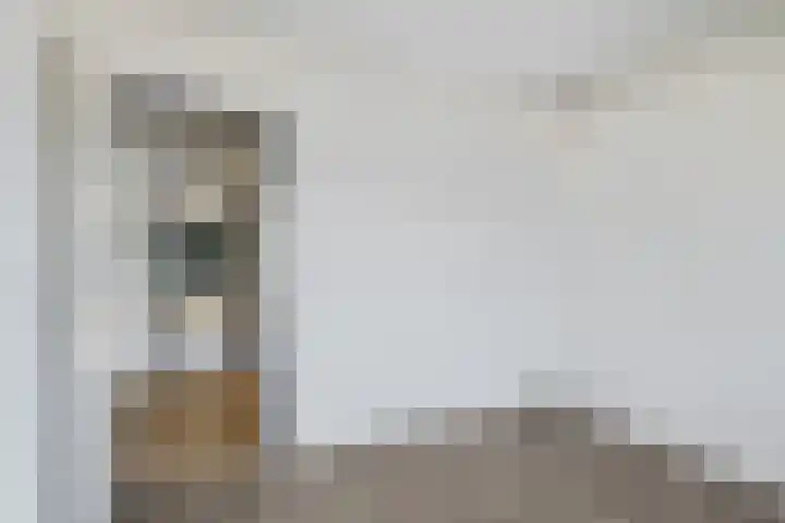 Tamboerlaan 291 Hoogeveen thumbnail 21