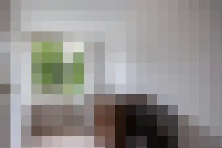 Tamboerlaan 305 Hoogeveen thumbnail 19