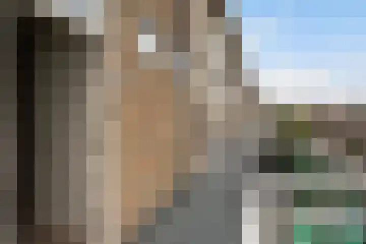 Tamboerlaan 305 Hoogeveen thumbnail 20