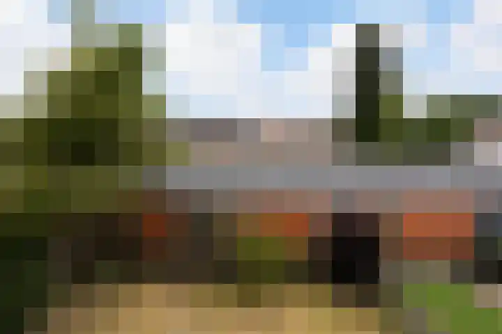 Tamboerlaan 305 Hoogeveen thumbnail 21