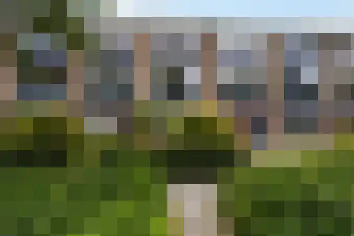 Tamboerlaan 305 Hoogeveen thumbnail 32
