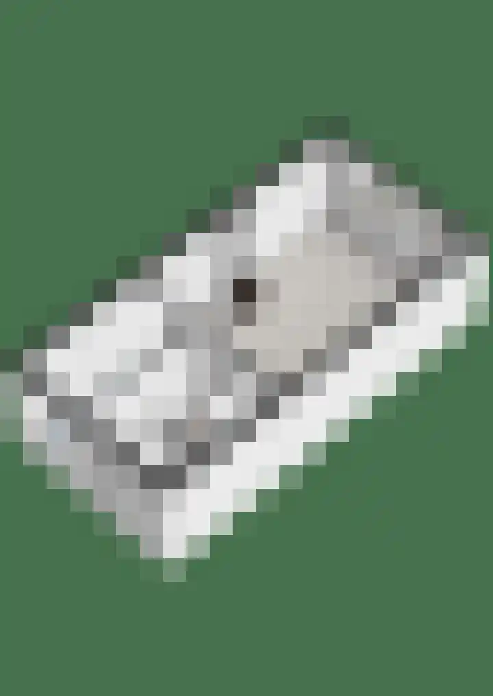 Tamboerlaan 313 Hoogeveen thumbnail 34