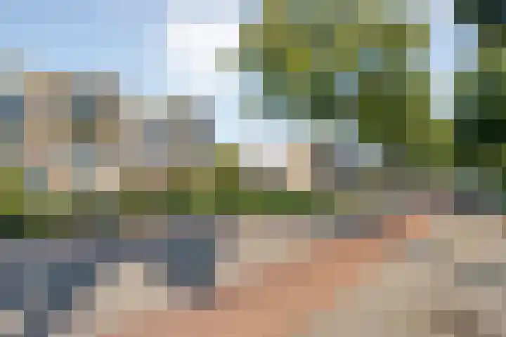 Tamboerlaan 313 Hoogeveen thumbnail 4