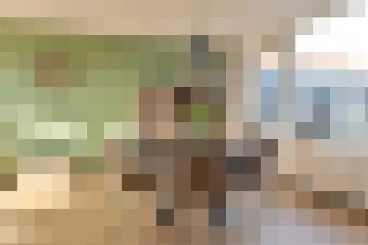 Tamboerlaan 331 Hoogeveen thumbnail 13