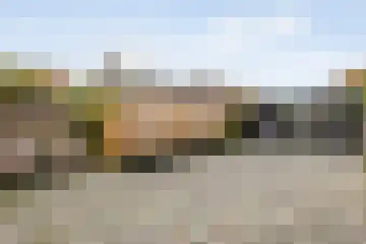 Tamboerlaan 35 Hoogeveen thumbnail 33