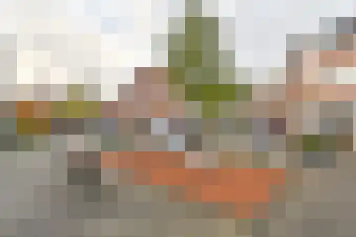 Tamboerlaan 91 Hoogeveen thumbnail 49