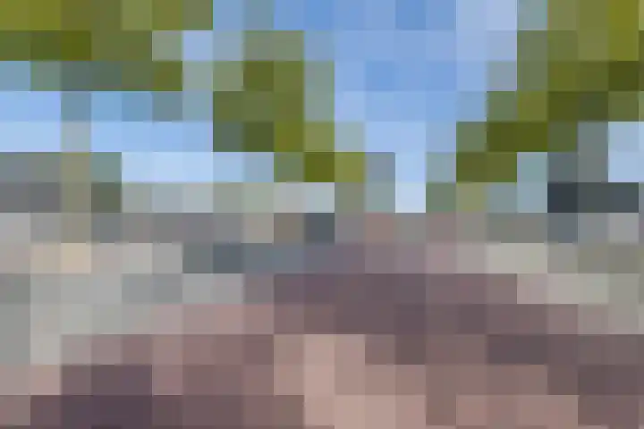 Tamboerlaan 99 Hoogeveen thumbnail 52