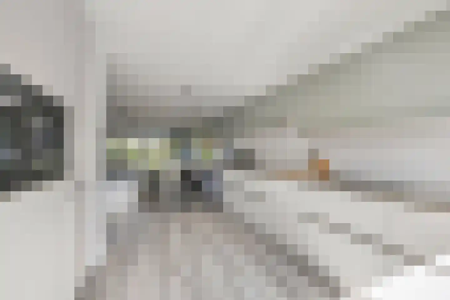 Tamboershof 12 Huissen thumbnail 12